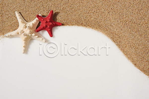 사람없음 JPG 포토 하이앵글 갈색 모래 백그라운드 불가사리 스튜디오촬영 실내 재질 질감 프레임 플랫레이 흙 흰배경