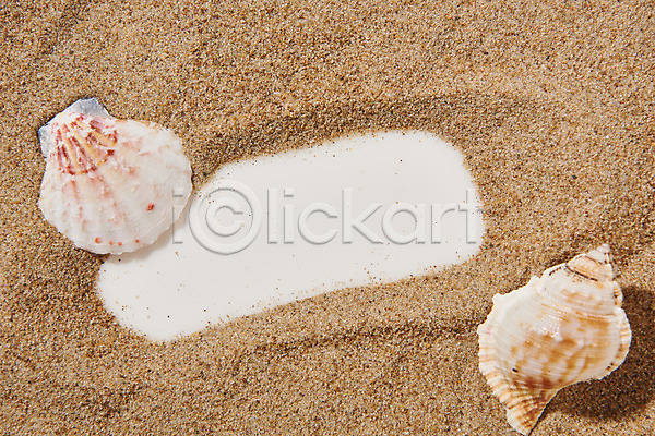 사람없음 JPG 포토 하이앵글 갈색 모래 백그라운드 소라 스튜디오촬영 실내 재질 조개 질감 프레임 플랫레이 흙