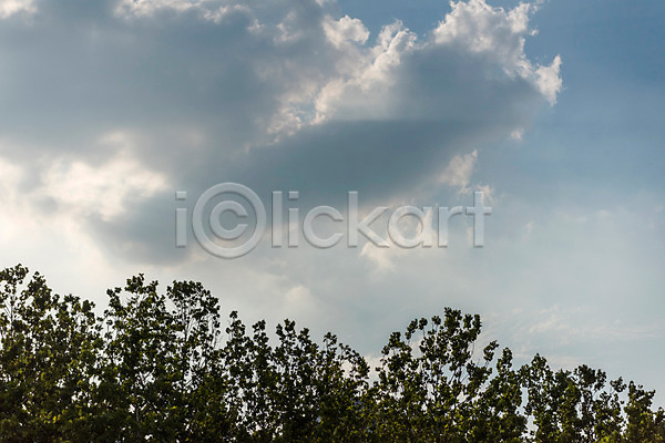 휴식 사람없음 JPG 포토 구름(자연) 나무 야외 여름(계절) 여름풍경 자연 주간 풍경(경치) 하늘 힐링