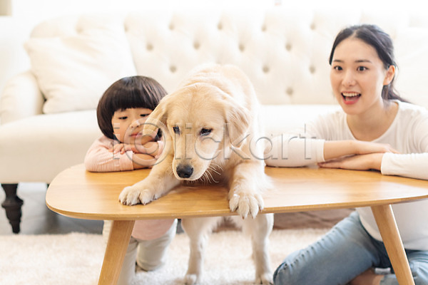 즐거움 20대 남자 두명 성인 소년 어린이 여자 한국인 JPG 앞모습 포토 가정교사 강아지 골든리트리버 교감 미소(표정) 반려 반려견 반려동물 상반신 소파 실내 앉기 전신 한마리 홈스쿨링