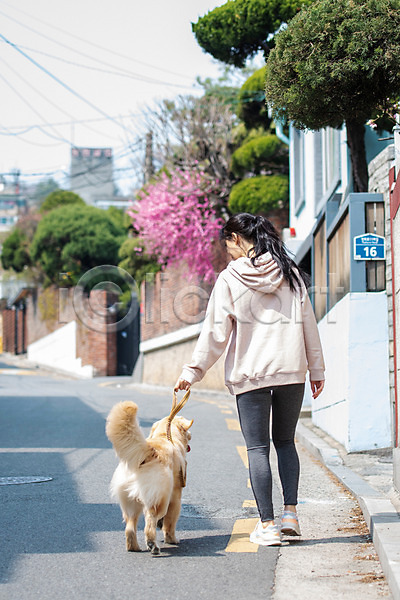 다정 산책 즐거움 함께함 20대 성인 성인여자한명만 여자 한국인 한명 JPG 뒷모습 포토 강아지 개 걷기 골든리트리버 목줄 반려 반려견 반려동물 야외 전신 주간 펫팸족 한마리