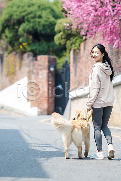 다정 산책 즐거움 함께함 20대 성인 성인여자한명만 여자 한국인 한명 JPG 뒷모습 포토 강아지 개 걷기 골든리트리버 뒤돌아보기 목줄 반려 반려견 반려동물 야외 전신 주간 펫팸족 한마리