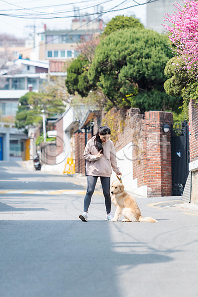 다정 산책 즐거움 함께함 20대 성인 성인여자한명만 여자 한국인 한명 JPG 앞모습 포토 강아지 개 걷기 골든리트리버 목줄 반려 반려견 반려동물 야외 전신 주간 펫팸족 한마리