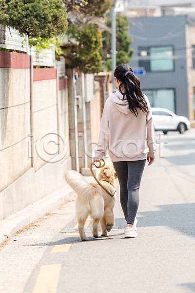 다정 즐거움 함께함 20대 성인 성인여자한명만 여자 한국인 한명 JPG 뒷모습 포토 강아지 개 걷기 골든리트리버 목줄 반려 반려견 반려동물 야외 전신 주간 펫팸족 한마리
