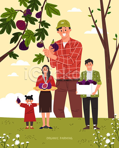 남자 사람 성인 어린이 여러명 여자 중년 AI(파일형식) 일러스트 고객 과수원 구매 꽃 나무 농부 들기 무화과 무화과나무 무화과열매 상반신 상자 선물 수확 유기농 전신