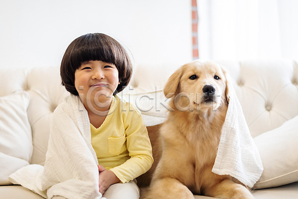 즐거움 함께함 남자 소년한명만 어린이 한국인 한명 JPG 앞모습 포토 강아지 골든리트리버 미소(표정) 반려 반려견 반려동물 상반신 소파 수건 실내 앉기 한마리