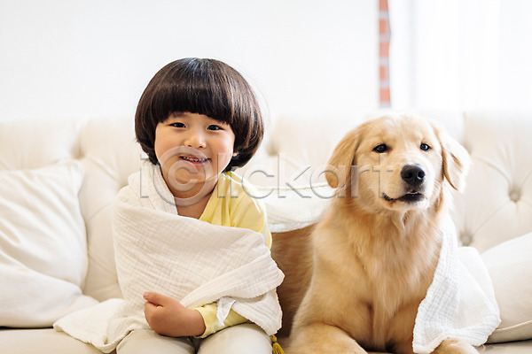 즐거움 함께함 남자 소년한명만 어린이 한국인 한명 JPG 앞모습 포토 강아지 골든리트리버 미소(표정) 반려 반려견 반려동물 상반신 소파 수건 실내 앉기 한마리