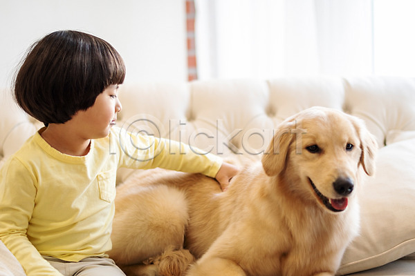 즐거움 함께함 남자 소년한명만 어린이 한국인 한명 JPG 앞모습 포토 강아지 골든리트리버 미소(표정) 반려 반려견 반려동물 상반신 소파 수건 실내 쓰다듬기 앉기 한마리
