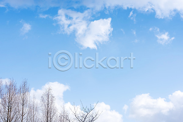 사람없음 JPG 로우앵글 포토 구름(자연) 나무 나뭇가지 날씨 맑음 봄 야외 주간 파란색 풍경(경치) 하늘
