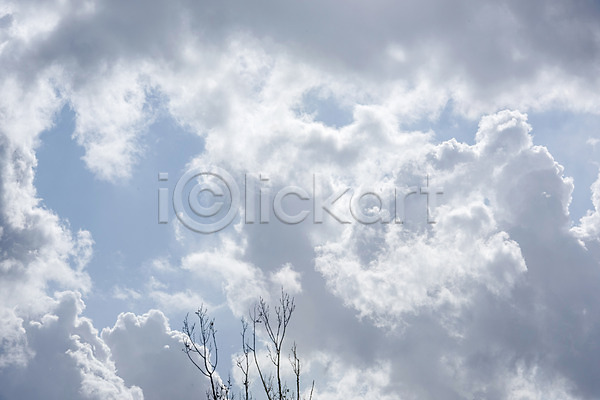 사람없음 JPG 로우앵글 포토 구름(자연) 나무 나뭇가지 날씨 맑음 봄 야외 주간 파란색 풍경(경치) 하늘