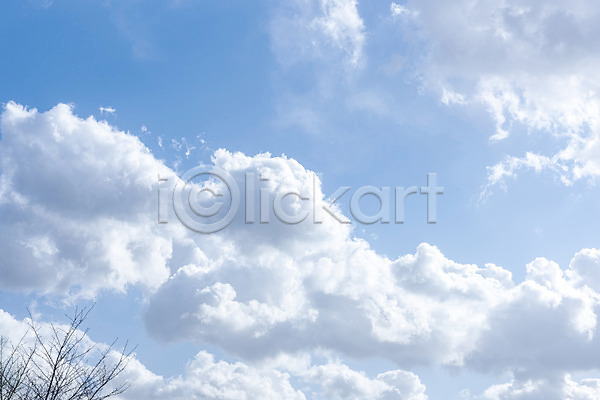 사람없음 JPG 로우앵글 포토 구름(자연) 나뭇가지 날씨 맑음 봄 야외 주간 파란색 풍경(경치) 하늘
