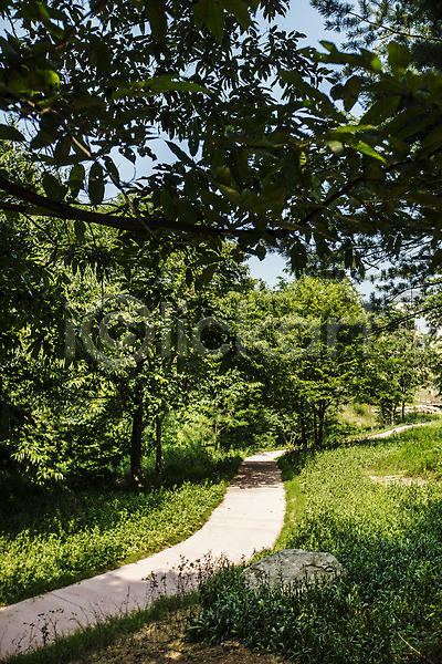 사람없음 JPG 포토 강원도 길 나무 산책로 속초 숲 야외 여행 주간 풍경(경치)