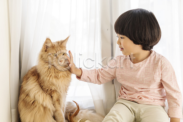 즐거움 남자 소년한명만 어린이 한국인 한명 JPG 앞모습 포토 고양이 만지기 메인쿤 반려 반려동물 반려묘 상반신 실내 쓰다듬기 한마리