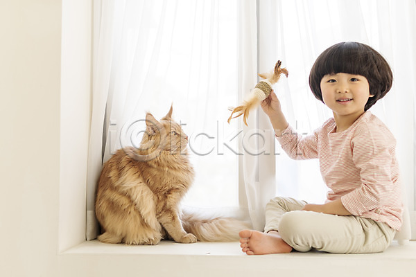 즐거움 남자 소년한명만 어린이 한국인 한명 JPG 옆모습 포토 고양이 놀이 메인쿤 미소(표정) 반려 반려동물 반려묘 실내 앉기 장난감 전신 한마리