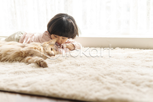 즐거움 남자 소년한명만 어린이 한국인 한명 JPG 옆모습 포토 고양이 메인쿤 반려 반려동물 반려묘 상반신 실내 엎드리기 응시 잠 한마리