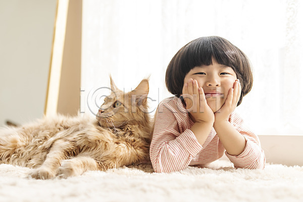 즐거움 남자 소년한명만 어린이 한국인 한명 JPG 앞모습 포토 고양이 메인쿤 반려 반려동물 반려묘 상반신 실내 엎드리기 턱괴기 한마리