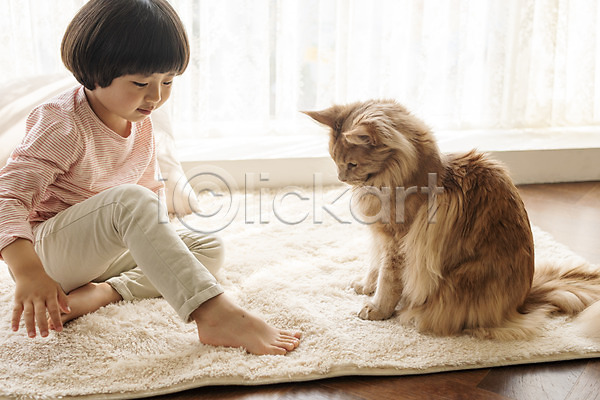 즐거움 남자 소년한명만 어린이 한국인 한명 JPG 옆모습 포토 고양이 메인쿤 반려 반려동물 반려묘 실내 앉기 장난 전신 한마리
