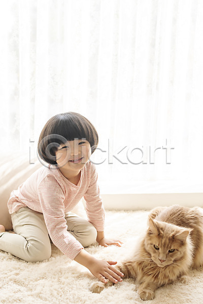 즐거움 남자 소년한명만 어린이 한국인 한명 JPG 앞모습 포토 고양이 만지기 메인쿤 미소(표정) 반려 반려동물 반려묘 실내 앉기 전신 한마리