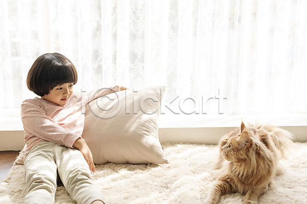 즐거움 남자 소년한명만 어린이 한국인 한명 JPG 앞모습 포토 고양이 메인쿤 반려 반려동물 반려묘 베개 상반신 실내 앉기 한마리