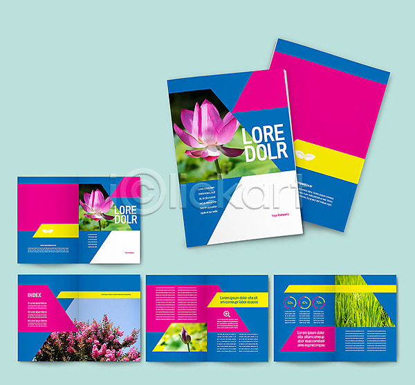 사람없음 INDD ZIP 인디자인 템플릿 꽃 나무 리플렛 식물 연꽃(꽃) 연못 자연 파란색 팜플렛