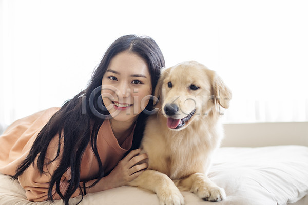 즐거움 화목 20대 성인 성인여자한명만 여자 한국인 한명 JPG 앞모습 포토 강아지 골든리트리버 교감 미소(표정) 반려 반려견 반려동물 상반신 실내 엎드리기 침대 펫팸족 한마리