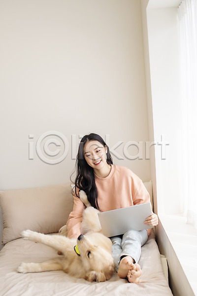 즐거움 화목 20대 성인 성인여자한명만 여자 한국인 한명 JPG 앞모습 포토 강아지 골든리트리버 공 교감 노트북 반려 반려견 반려동물 실내 앉기 장난 전신 창가 침대 펫팸족 한마리