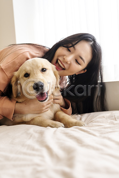 즐거움 화목 20대 성인 성인여자한명만 여자 한국인 한명 JPG 앞모습 포토 강아지 골든리트리버 교감 미소(표정) 반려 반려견 반려동물 상반신 실내 엎드리기 장난 창가 침대 펫팸족 한마리