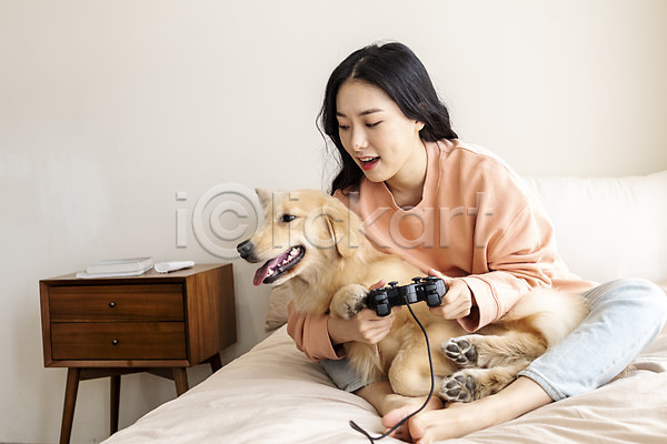 즐거움 화목 20대 성인 성인여자한명만 여자 한국인 한명 JPG 앞모습 포토 강아지 게임 게임기 골든리트리버 반려 반려견 반려동물 실내 앉기 전신 침대 펫팸족 한마리