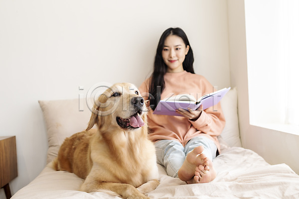 즐거움 화목 20대 성인 성인여자한명만 여자 한국인 한명 JPG 앞모습 포토 강아지 골든리트리버 독서 반려 반려견 반려동물 실내 앉기 전신 책 침대 펫팸족 한마리
