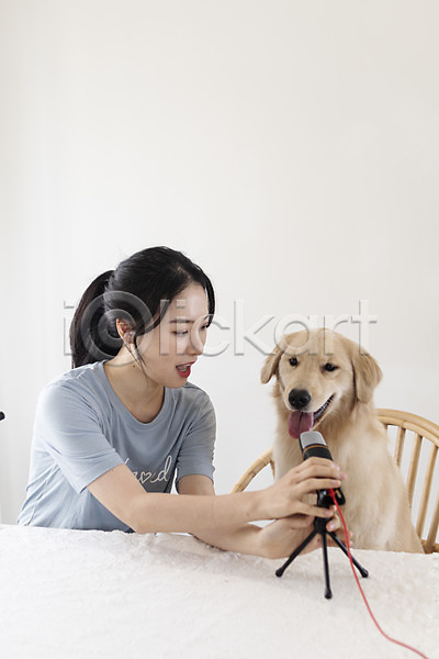 즐거움 20대 성인 성인여자한명만 여자 한국인 한명 JPG 앞모습 포토 강아지 골든리트리버 마이크 반려 반려견 반려동물 상반신 안내 앉기 유튜버 크리에이터 탁자 펫팸족 한마리