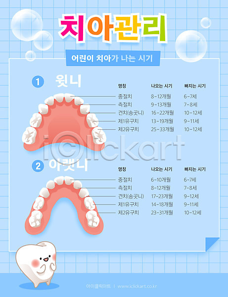 사람없음 AI(파일형식) 일러스트 유치 인포그래픽 치과 치아 치아건강 치아모형 캐릭터 파란색