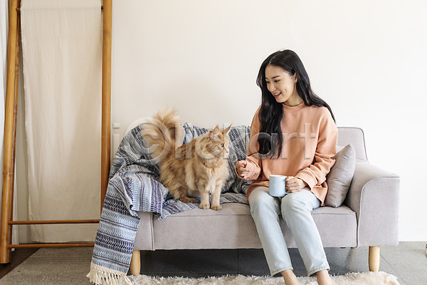 소통 즐거움 화목 20대 성인여자한명만 여자 한국인 한명 JPG 앞모습 포토 고양이 교감 메인쿤 반려 반려동물 반려묘 소파 실내 앉기 전신 커피잔 펫팸족 한마리