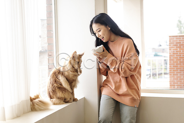 소통 즐거움 화목 20대 성인여자한명만 여자 한국인 한명 JPG 앞모습 포토 고양이 그릇 메인쿤 반려 반려동물 반려묘 상반신 서기 실내 응시 창가 펫팸족 한마리