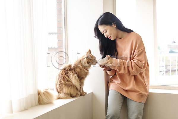 소통 즐거움 화목 20대 성인여자한명만 여자 한국인 한명 JPG 앞모습 포토 고양이 그릇 메인쿤 반려 반려동물 반려묘 상반신 서기 실내 응시 창가 펫팸족 한마리