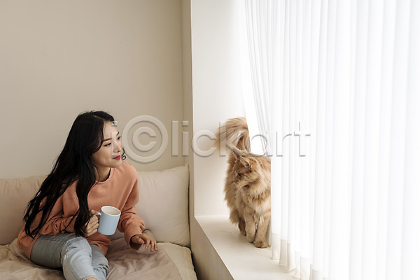 소통 즐거움 화목 20대 성인여자한명만 여자 한국인 한명 JPG 앞모습 포토 고양이 메인쿤 반려 반려동물 반려묘 상반신 실내 앉기 응시 창가 침대 펫팸족 한마리