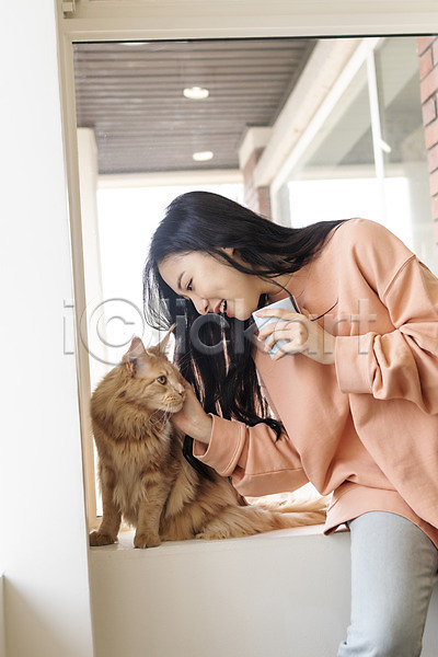 소통 즐거움 화목 20대 성인여자한명만 여자 한국인 한명 JPG 앞모습 포토 걸터앉기 고양이 메인쿤 반려 반려동물 반려묘 상반신 실내 쓰다듬기 창가 커피잔 펫팸족 한마리