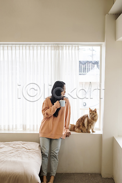 소통 즐거움 화목 20대 성인여자한명만 여자 한국인 한명 JPG 앞모습 포토 고양이 기댐 메인쿤 반려 반려동물 반려묘 서기 실내 전신 창가 침대 커피잔 펫팸족 한마리