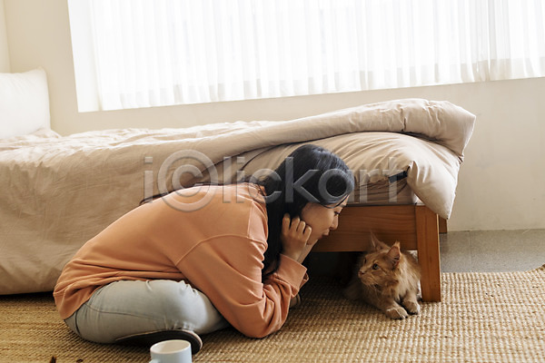 소통 즐거움 화목 20대 성인여자한명만 여자 한국인 한명 JPG 옆모습 포토 고양이 메인쿤 반려 반려동물 반려묘 실내 앉기 응시 전신 침대 펫팸족 한마리
