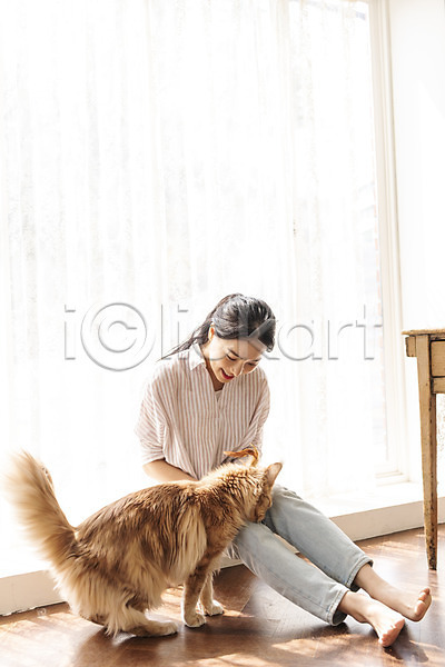 소통 즐거움 화목 20대 성인여자한명만 여자 한국인 한명 JPG 앞모습 포토 고양이 교감 메인쿤 반려 반려동물 반려묘 실내 쓰다듬기 앉기 전신 창가 펫팸족 한마리
