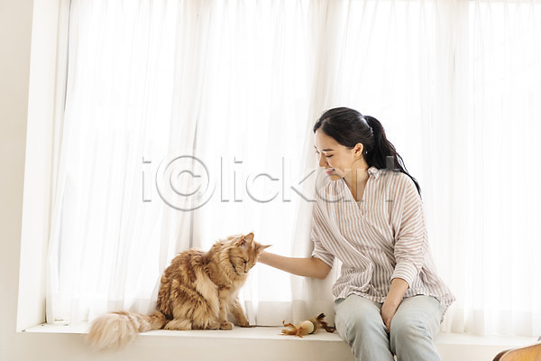 소통 즐거움 화목 20대 성인여자한명만 여자 한국인 한명 JPG 앞모습 포토 걸터앉기 고양이 교감 메인쿤 반려 반려동물 반려묘 상반신 실내 쓰다듬기 장난감 창가 펫팸족 한마리