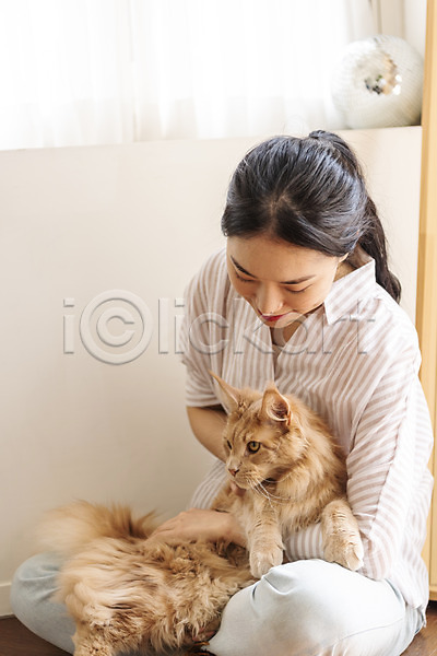 소통 즐거움 화목 20대 성인여자한명만 여자 한국인 한명 JPG 앞모습 포토 고양이 교감 메인쿤 반려 반려동물 반려묘 실내 쓰다듬기 안기 앉기 전신 펫팸족 한마리