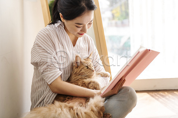 소통 즐거움 화목 20대 성인여자한명만 여자 한국인 한명 JPG 옆모습 포토 고양이 독서 메인쿤 반려 반려동물 반려묘 상반신 실내 안기 앉기 책 펫팸족 한마리