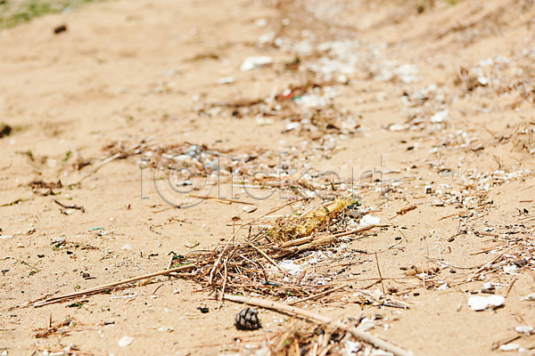 사회이슈 수질오염 환경오염 사람없음 JPG 포토 궁평해수욕장 그린캠페인 모래 바다 쓰레기 야외 오염 자연 자연보호 주간 해변 해양쓰레기 환경