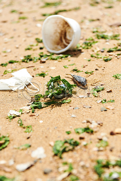 사회이슈 수질오염 환경오염 사람없음 JPG 포토 궁평해수욕장 그린캠페인 모래 바다 쓰레기 야외 어류 오염 자연 자연보호 주간 해변 해양쓰레기 환경