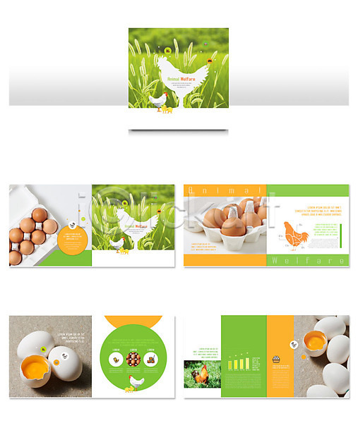 신선 사람없음 INDD ZIP 실루엣 인디자인 템플릿 계란 노른자 닭 리플렛 자연 초록색 팜플렛