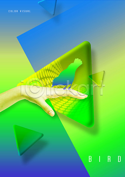 신체부위 PSD 실루엣 편집이미지 그래픽 그래픽백그라운드 동물 백그라운드 삼각형 손 조류 초록색 한마리