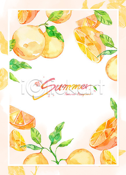 사람없음 PSD 일러스트 과일 글자캘리그라피 백그라운드 번짐 수채화(물감) 여름(계절) 영어 오렌지 잎 주황색 프레임
