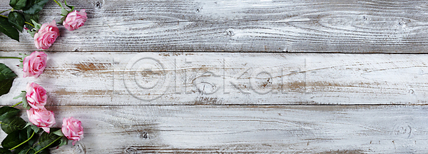 감사 사랑 행복 사람없음 JPG 포토 해외이미지 5월 기념 꽃 꽃무늬 목재 백그라운드 봄 부활절 분홍색 선물 시골 엄마 장미 카피스페이스 해외202007 해외포토 휴가 흰색
