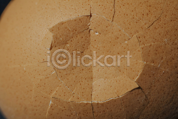 사람없음 JPG 포토 해외이미지 거미줄 계란 골절 균열 깨짐 껍질 단절 묘사 빈털터리 아침식사 원형 음식 질감 추상 패턴 표면 해외202007