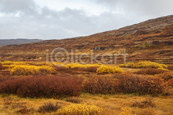 사람없음 JPG 포토 해외이미지 가을(계절) 구름(자연) 나무 내추럴 노란색 백그라운드 봄 빛 빨간색 산 숲 아이슬란드 여름(계절) 여행 일몰 일출 자연 저녁 초록색 태양 파란색 풍경(경치) 하늘 해외202007 햇빛